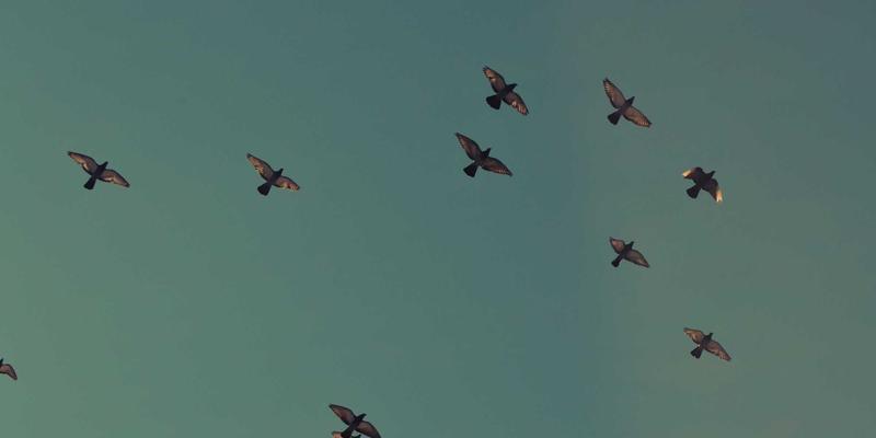 Site is created successfully! 接下来该做什么？从成功建站到有效运营的完整指南